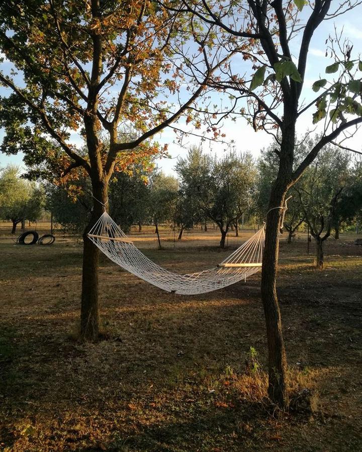Axia Terme B&B, 4 Min Dal Centro Storico - Park Privato Viterbo Exteriör bild